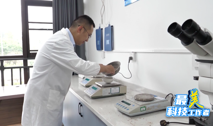 最美科技工作者丨杨黔: &ldquo;砂&rdquo;破苍穹,架起世界桥梁